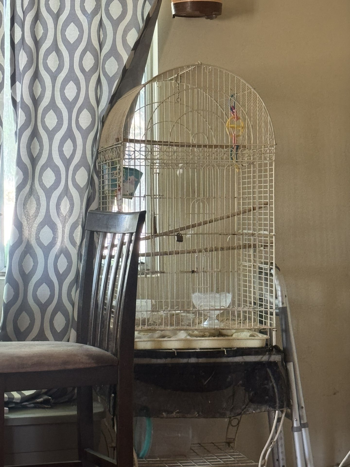 Bird cage 