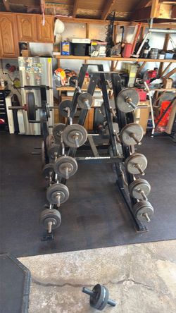 Curl Barbells with rack