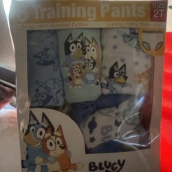 Bluey Character Toddler Boy Training Pants