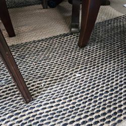 Large Area Rug. Great For I Door And Outdoors. I Jad It Indoors