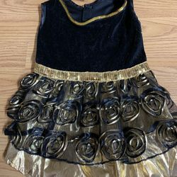 Medium Black Velvet-Like Holiday Dog Dress