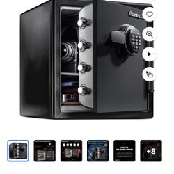 Sentry Safe