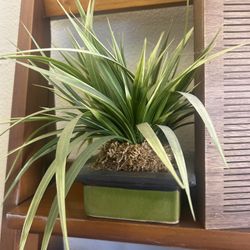 Cool  Artificial Plant