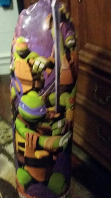 Ninja Turtle punching bag