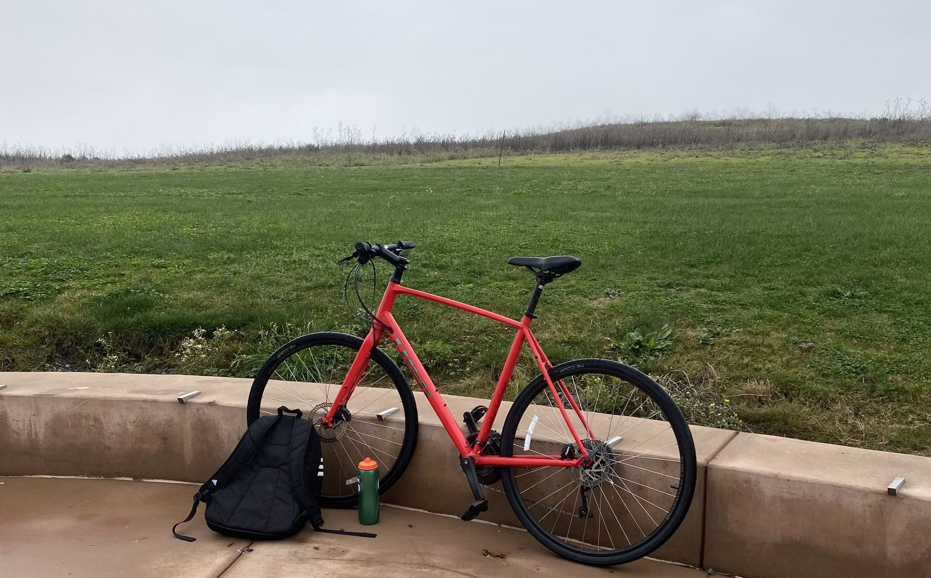 FX 2 Disc XL Satin Trek Bike