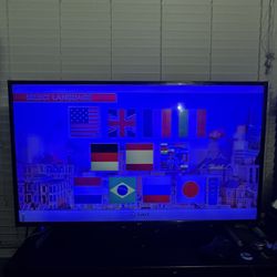 50 In Tv 