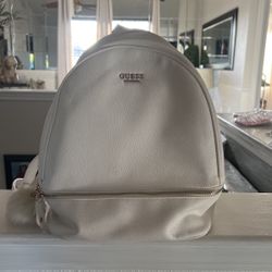 Purse/packpack