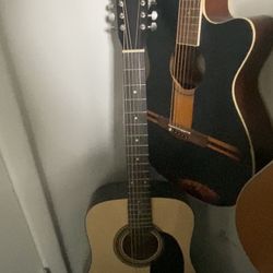 Rogue 12 String Guitar 