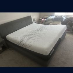 Nectar Ultra Foam (King)