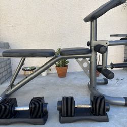 Weight Bench And Weights 