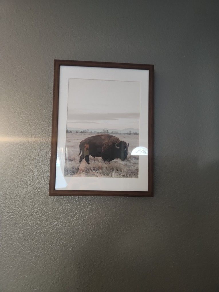 Set Of Two Framed Buffalo Pictures