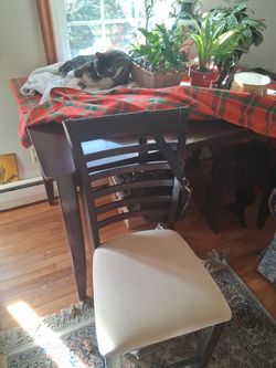 'High' Table with 4 cushioned chairs