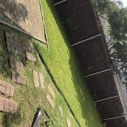 Lawn $40