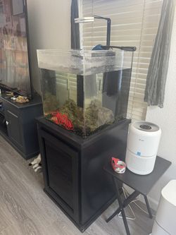 50 Gallon Salt Water Tank