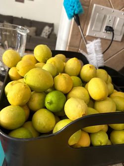 Limon Mexicano 10x$1 fresco recién cortado