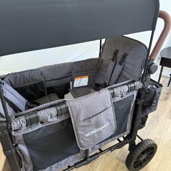 Wonderfold w2- Lux 2 passenger wagon