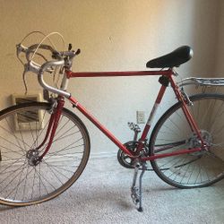 Raleigh Bike 27”