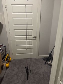 Fishing pole