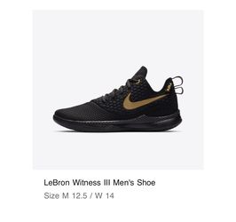 Lebron Witness 3