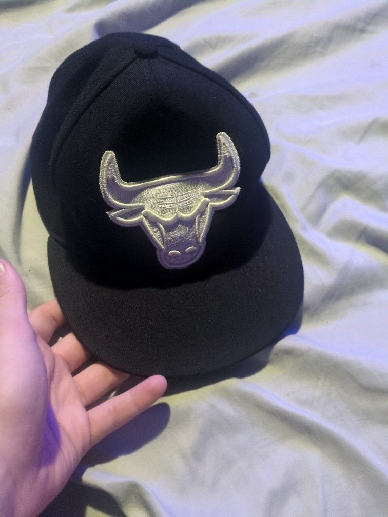 Bulls Hat