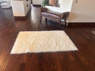 Shag Area Rig White 4’ By 5’10” Washable