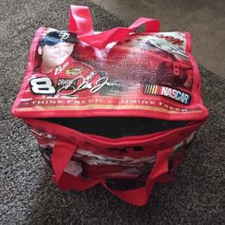 Budweiser Cooler Bag