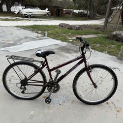 Mountain Bike Maroon 