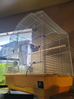 Large bird cage fake