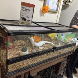Eco-Terra Reptile Tank