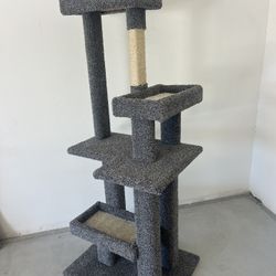 Cat Trees 