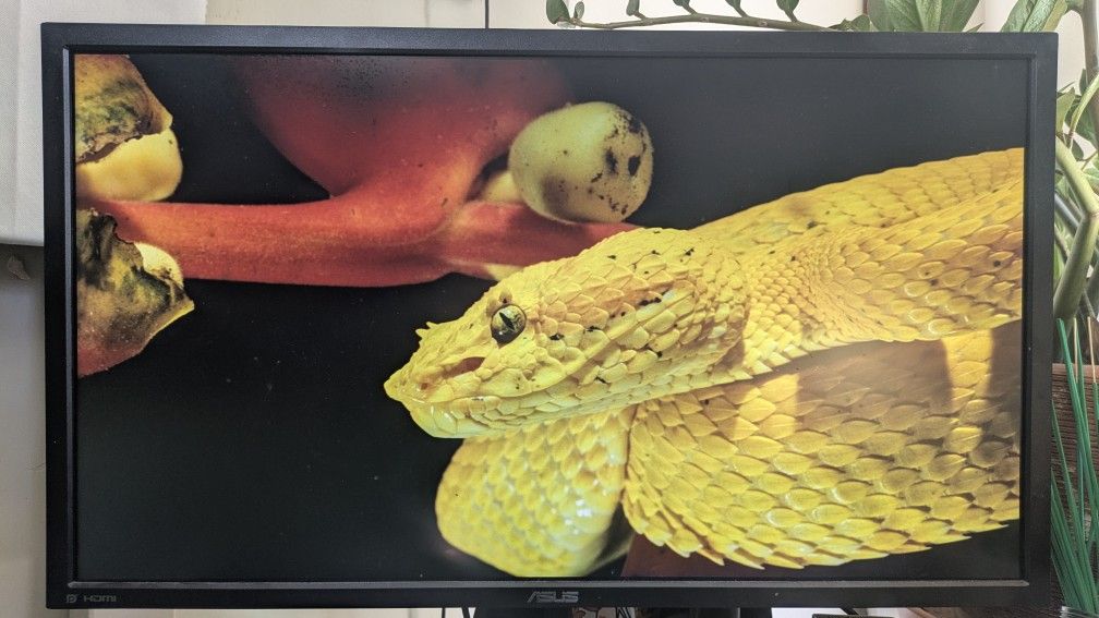 ASUS - 27" Class Full HD Gaming Monitor