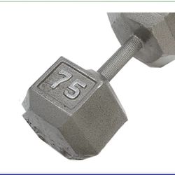 75 Pound Dumbbells 