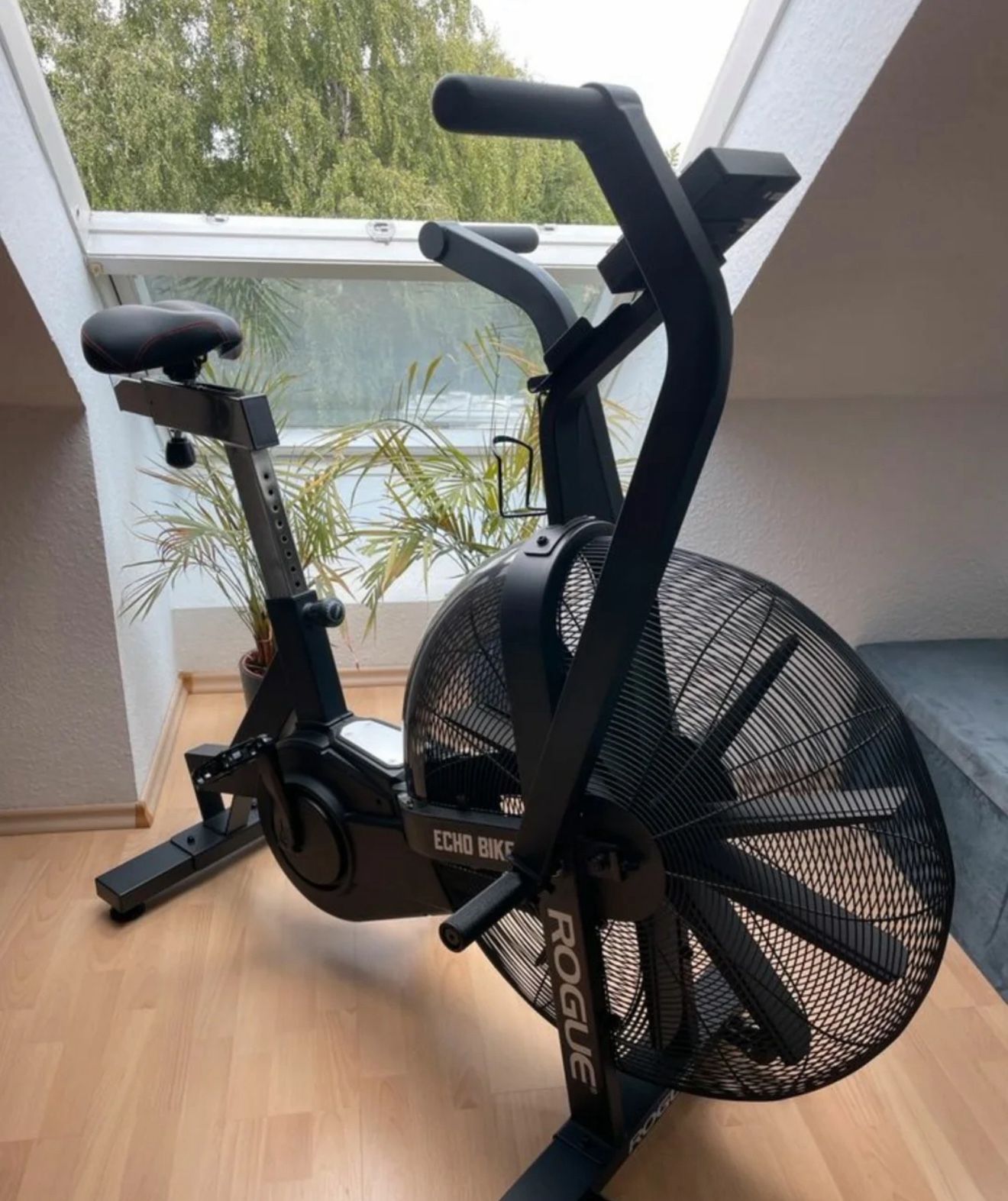 Rogue Echo Bike