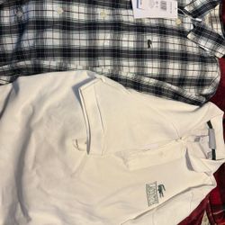 Camisas De Lacoste
