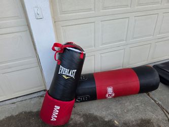 1, 80 pound  Everlast MMA punching bag. 1. 100 pound Ringside punching Bag