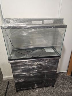 Standing Aquarium Starter kit