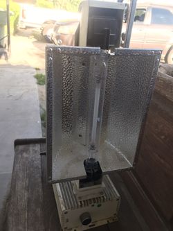 Grow Light 