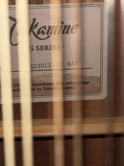 Takamine G Series