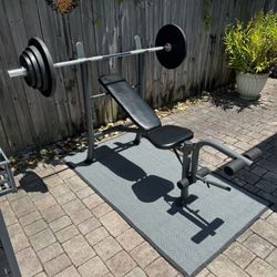 2” Olympic Style Workout set. Over 260lbs in total weight. Everything in pics is included for the price. 