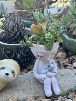 Lady With Cat 🐱 Planter With Succulents 🪴 Plants Included!! 
