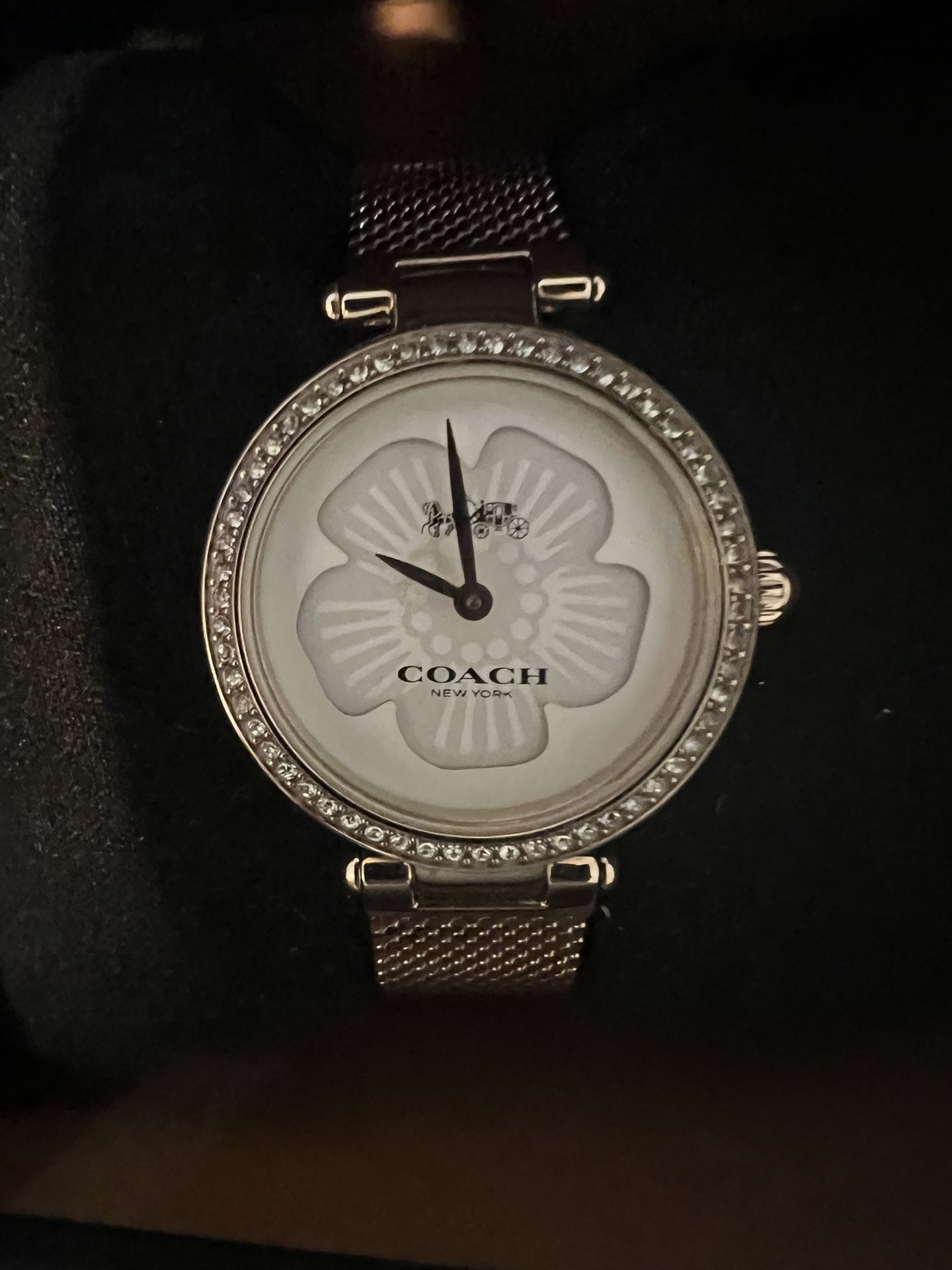 New Coach Watch