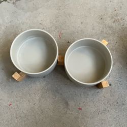 Dog Food Tray 