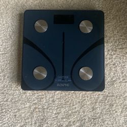 Bluetooth Scale
