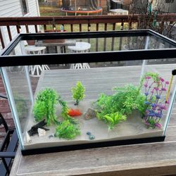 20 Gallon Fish Tanks 