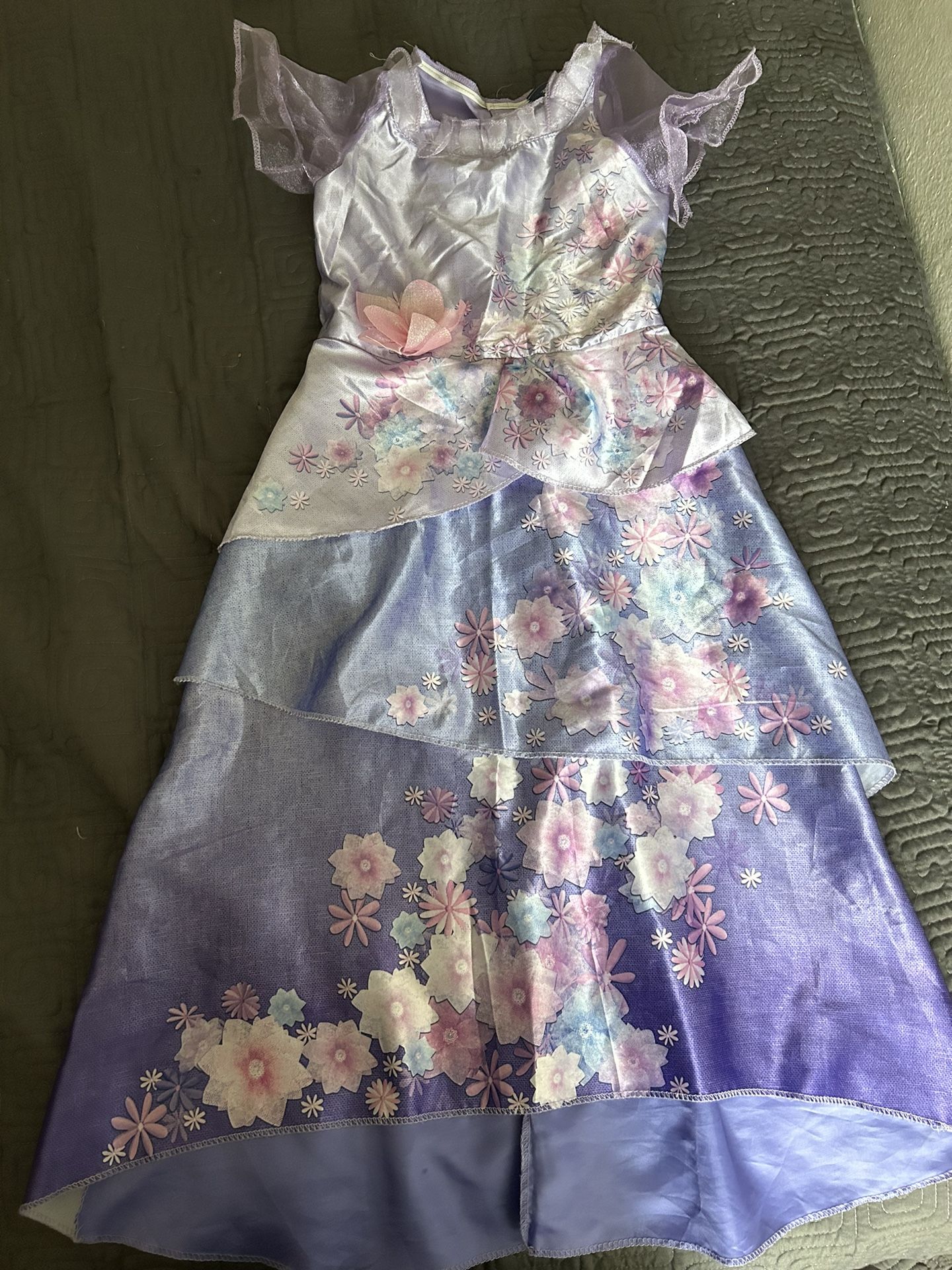 Encanto Isabella Costume Dress