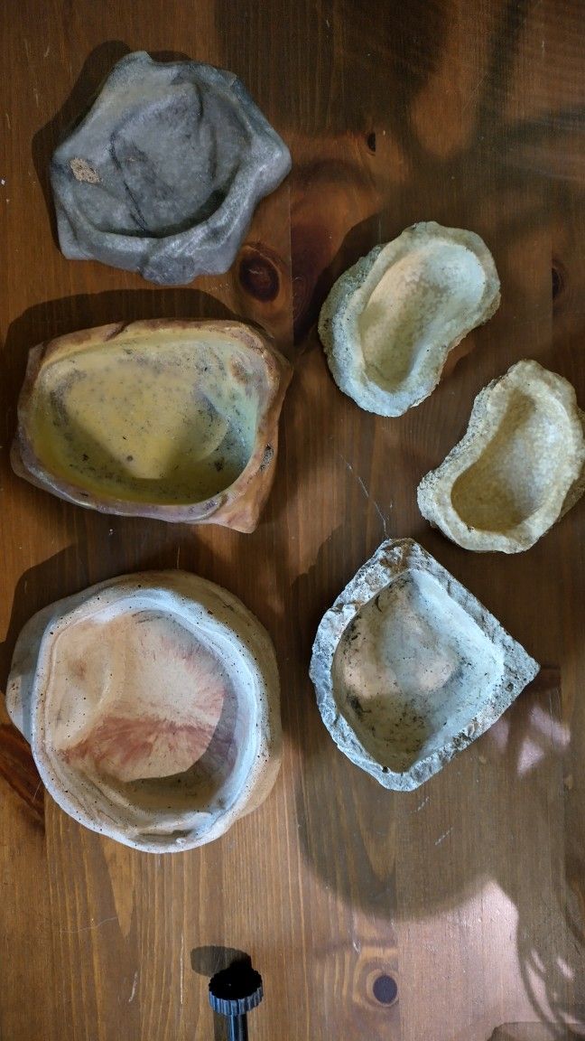 For All 6 Terrarium Bowls 