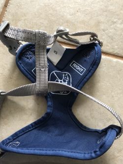 Puppy xsm harness