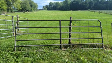 Cattle Gate