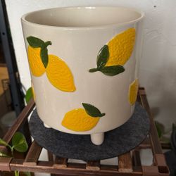 Cute Lemon Ceramic Planter