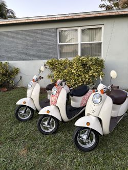 Honda Metropolitan Pink Hibiscus 🌺 2007